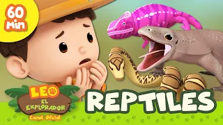 Dinosaurios, Dragones y ¡Más! 🦖 | Leo, El Explorador | 1 HORA! | Animación Niños