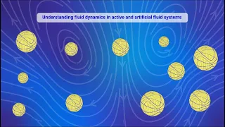 Microswimmer Hydrodynamics Through the Lens of Jeffery’s Orbits