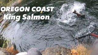 OREGON COASTAL RIVER - CHINOOK SALMON FISHING