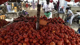 Nigerians lament rising cost of living as food prices soar, inflation at 4-year high