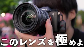 カメラを買ったらすぐ覚えるべき標準ズームレンズの使いこなし術【SIGMA 24-70mm F2.8 DG DN II | Art】