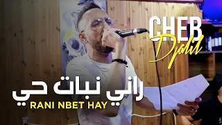 Cheb Djalil 2024 Rani Nbet Hay |  راني نبات حي © ft Bidjou