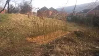 Building a willow tunnel