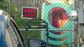 Connecticut Man Says Dogs Attacked Him, But the Owner is Denying it