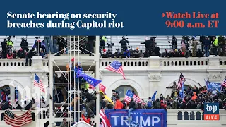 Senate holds hearing on security breaches during Capitol riot - 2/23 (FULL LIVE STREAM)