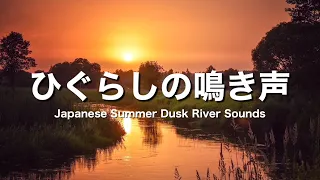 【睡眠用BGM/癒し】夏の夕暮れ ひぐらしの鳴き声と川のせせらぎ【自然音、作業用、勉強用、3時間】Japanese summer sunset sounds