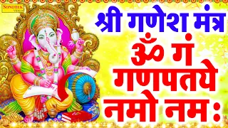 गणेश मंत्र - Ganesh Mantra | ॐ गं गणपतये नमो नमः | Jyoti Tiwari | Om Gan Ganpataye Namo Namah