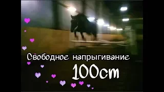 Свободное напрыгивание|Дарья Кор🐴💕