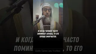 Шейх Салих аль Усейми - Что смягчает чёрствые сердца