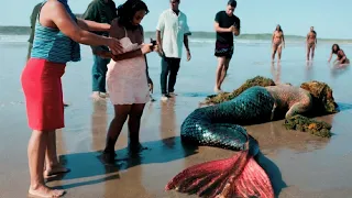 REVELADO: SEREIA PRESA FORA DA ÁGUA CAPTURADA PELA CÂMERA