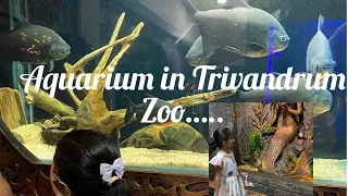 Aquarium in Trivandrum zoo