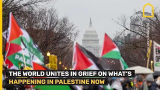 PRO-PALESTINE PROTESTS: THE WORLD IS UNITED IN ITS DEVASTATION ON WHAT'S HAPPENING IN PALESTINE