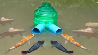 Build Fish Trapping System With Plastic Bottle & Pipe PVC Catch A lot of Fishes And Eels