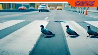 СИМУЛЯТОР ГОЛУБЯ 🕊️ Pigeon Simulator Прохождение