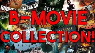 MY B-MOVIE DVD COLLECTION!!!