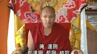 大寶法王- 綠度母心咒 口傳Karmapa gave an oral transmission of Green Tara Mantra