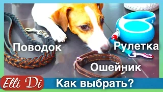 Рулетка, ошейник, поводок для собак | Покупки из зоомагазина | Elli Di Собаки