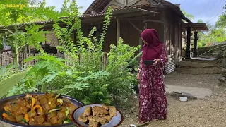 Alhamdulillah panen cabe rawit depan dapur,masak sambel goreng kulit sapi,tempe goreng,masakan desa