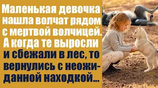 Девочка нашла волчат рядом с мертвой волчицей. А когда те выросли и сбежали обратно в лес, то...