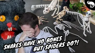 Zoologist Reacts To Your Horrible Halloween Decorations