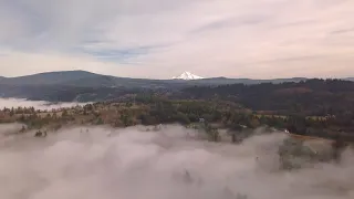 FREE STOCK VIDEO FOOTAGE - Snow Mountain and forest clouds