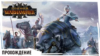 Славянская клюква в Total War: Warhammer III