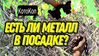 Коп, ЯМА на ЯМЕ! Уехали в ПОСАДКУ! Перспективно? #металлокоп2023 #коп #xpdeus #заработок #деньги