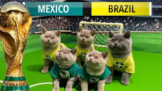 LETS UNLEASH WORLD CUP CATS KITTENS GAME 2