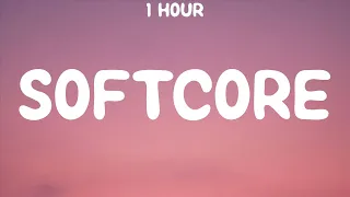 [1 HOUR] The Neighbourhood - Softcore (Lyrics) "I'm too consumed with my own life" [TikTok Song]
