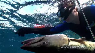 Подводная охота на Кубе часть 2. Spearfishing in Cuba