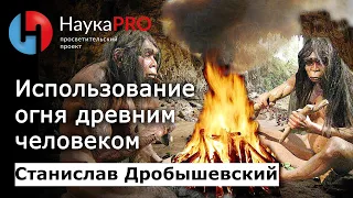 Использование огня древним человеком | Лекции по антропологии – Станислав Дробышевский | Научпоп