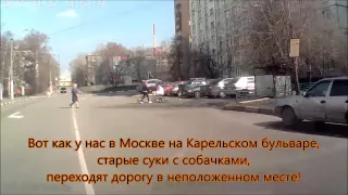 Старая сука в неправильном месте переходт дорогу