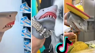 Funny SHARK PUPPET TikTok Compilation ~ BEST of Shark Puppet TikToks **NEW**