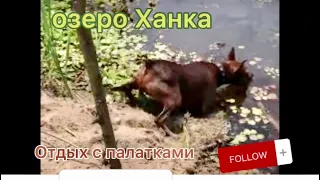 озеро Ханка , Турий Рог,Приморский край