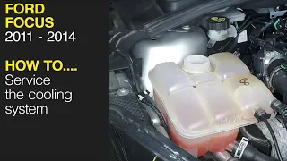 How to change the coolant on a Ford Focus 2011 to 2014 and service