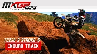 MXGP 2019 - Enduro Gameplay - 2 Stroke TC 250 - Free Ride