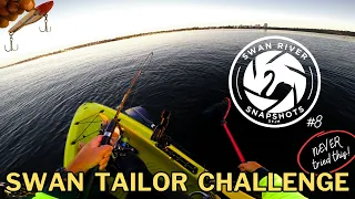 Swan River Tailor on VIBES? | Ep 8 Perth Australia Swan River Fishing