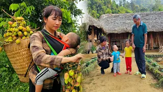 Single mother:Picking lychees to sell - Grandfather built a flower bed in the garden - Joy every day