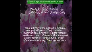 Коран Сура Юнус | 10:10  | Чтение Корана с русским переводом| Quran Translation in Russian