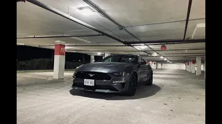 2019 Ford Mustang GT POV Night drive