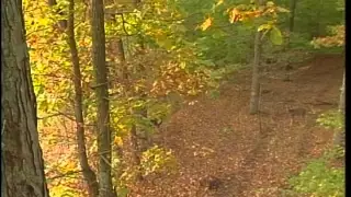 Ultimate Whitetail Season 4   All Antlers   1998