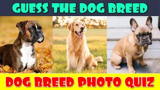 Guess the Dog Breeds Quiz