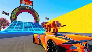 Simba vs Nala vs Kiara OBSTACLE RACE (Funny Contest)