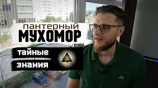 Пантерный Мухомор / Пирамида осознанности