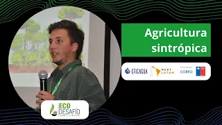 Optimizando la producción con Agricultura sintrópica - Felipe Rodríguez - Ecodesafio 2024