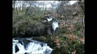 INGLETON WATERFALLS TRAIL (stills & video)