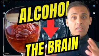 The Neuroscience Behind Alcohol: 10 Ways Alcohol Affects Our BRAIN