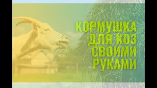 Очень удобная кормушка для коз своими руками.