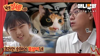 코리안 숏헤어 '흑설이'를 모시는 취준생 집사의 고민 [나도 집사왕 5화]ㅣBulter’s Concerns Raising A Timid Cat