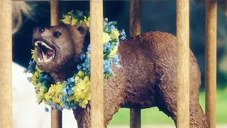 MIDSOMMAR "Bear in a Cage Official Trailer" (2019) HD